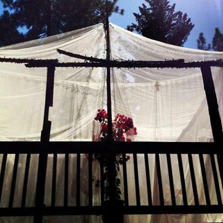 كولترفيل The Red Rooster Lodge المظهر الخارجي الصورة