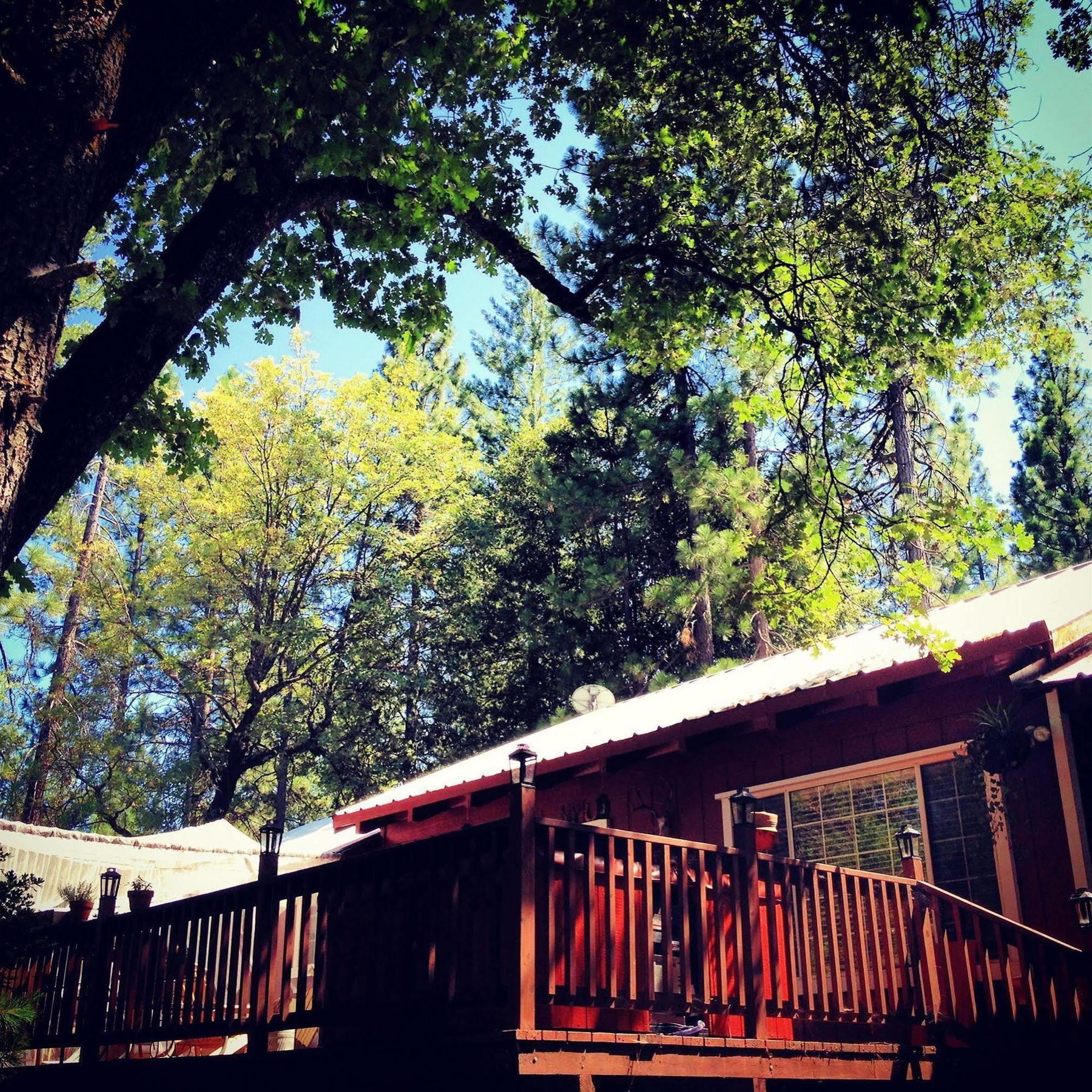 كولترفيل The Red Rooster Lodge المظهر الخارجي الصورة